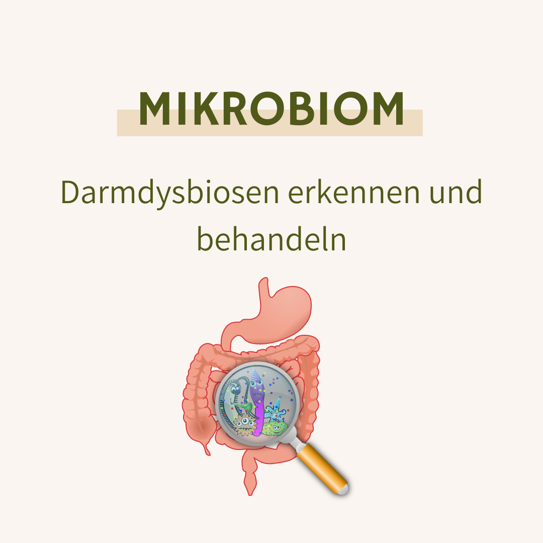 Mikrobiom – Darmdysbiosen erkennen und behandeln