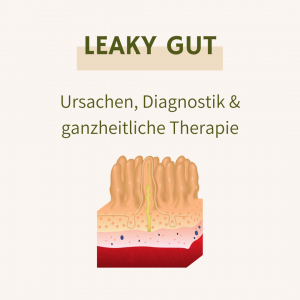 Leaky Gut - Ursachen, Diagnostik & ganzheitliche Therapie [Digital]