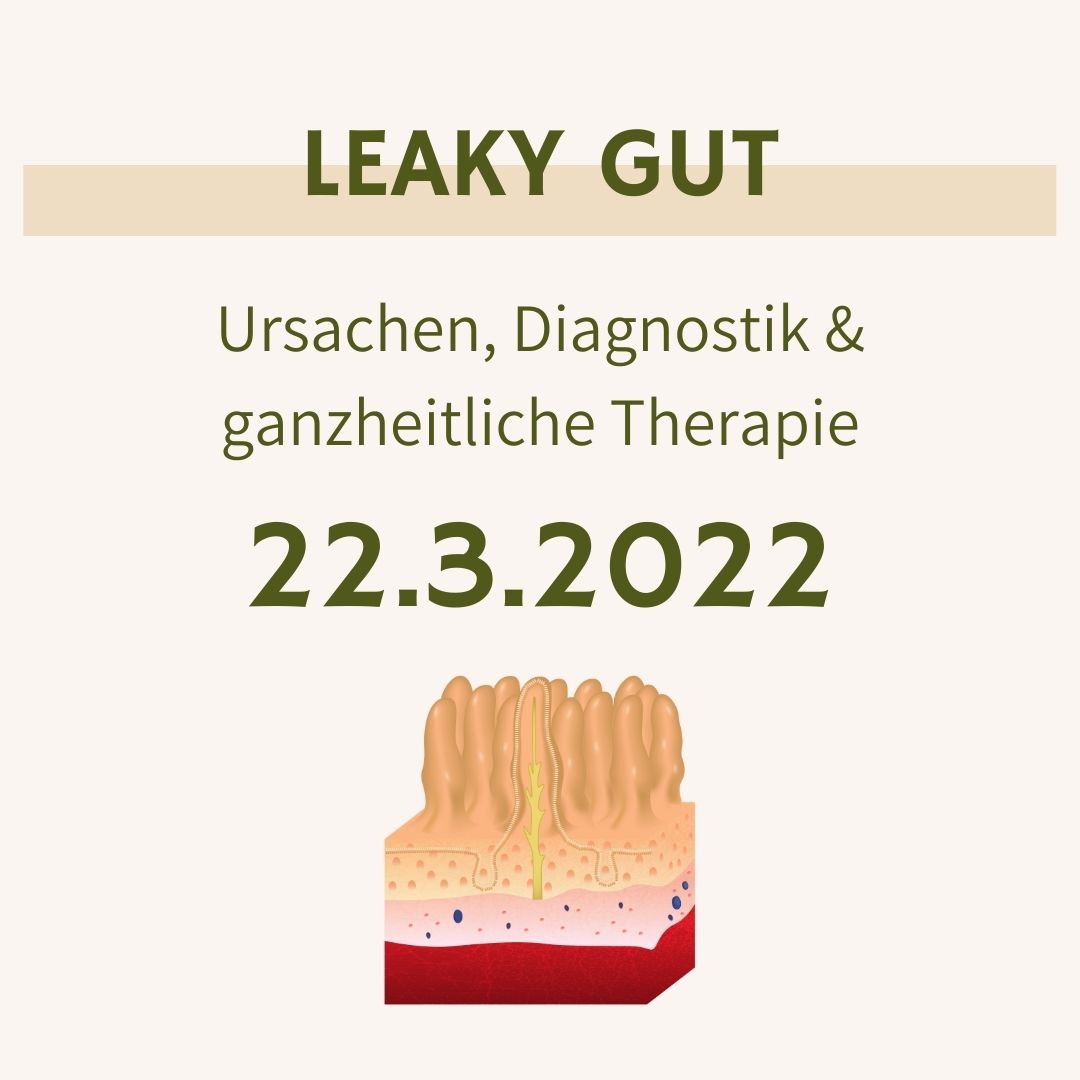 Leaky Gut – Ursachen, Diagnostik & ganzheitliche Therapie