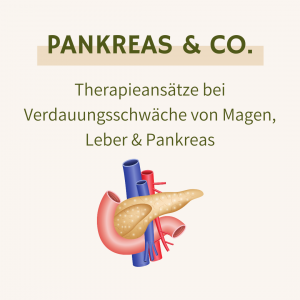 Pankreas & Co. - Verdauungsschwäche von Magen, Leber & Pankreas [Digital]