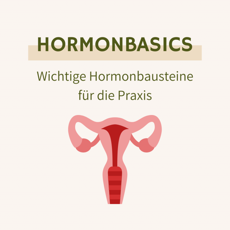 Hormonbasics