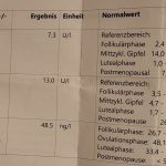 erste zyklusphase endo crohn hashi