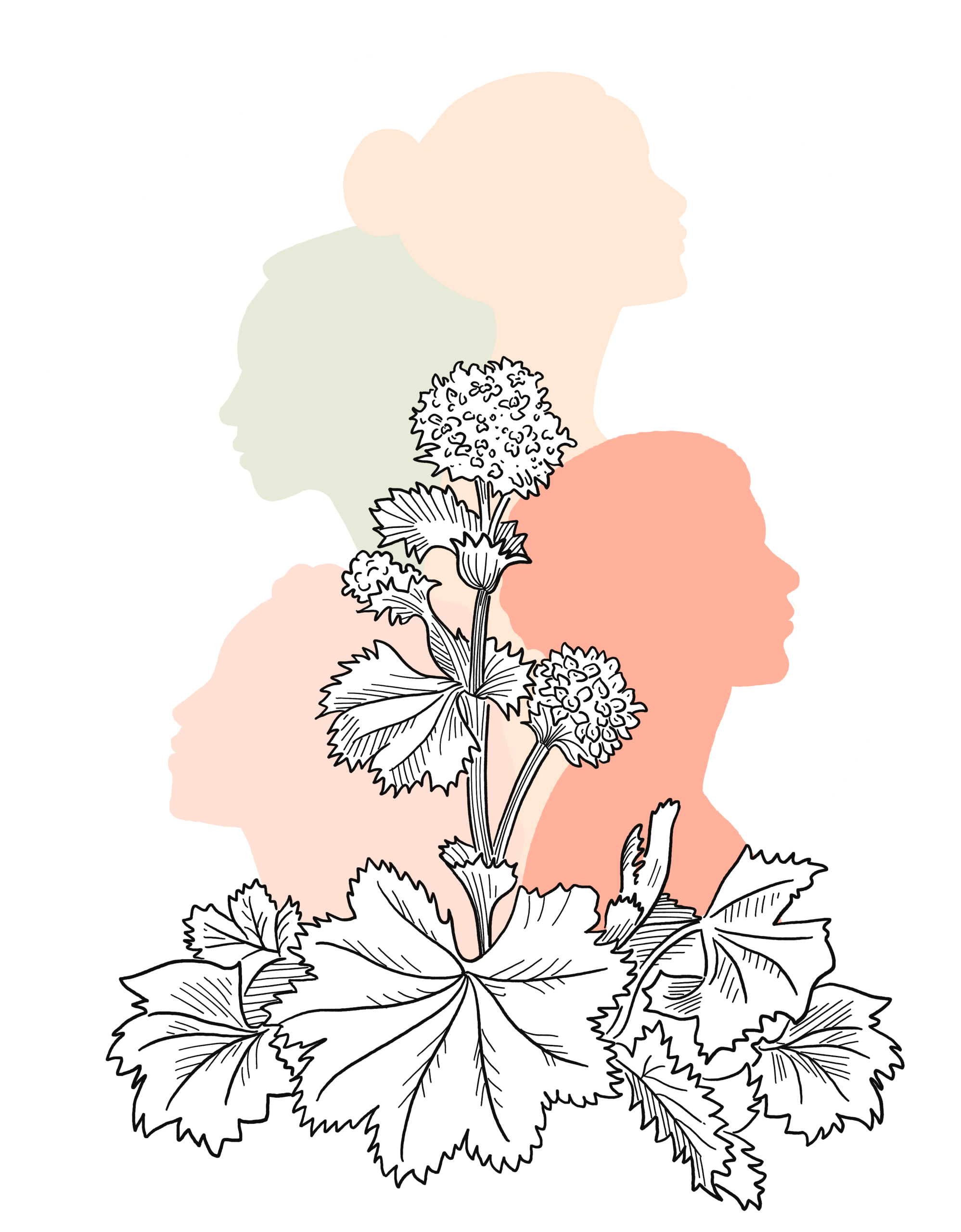 Frauenheilkunde