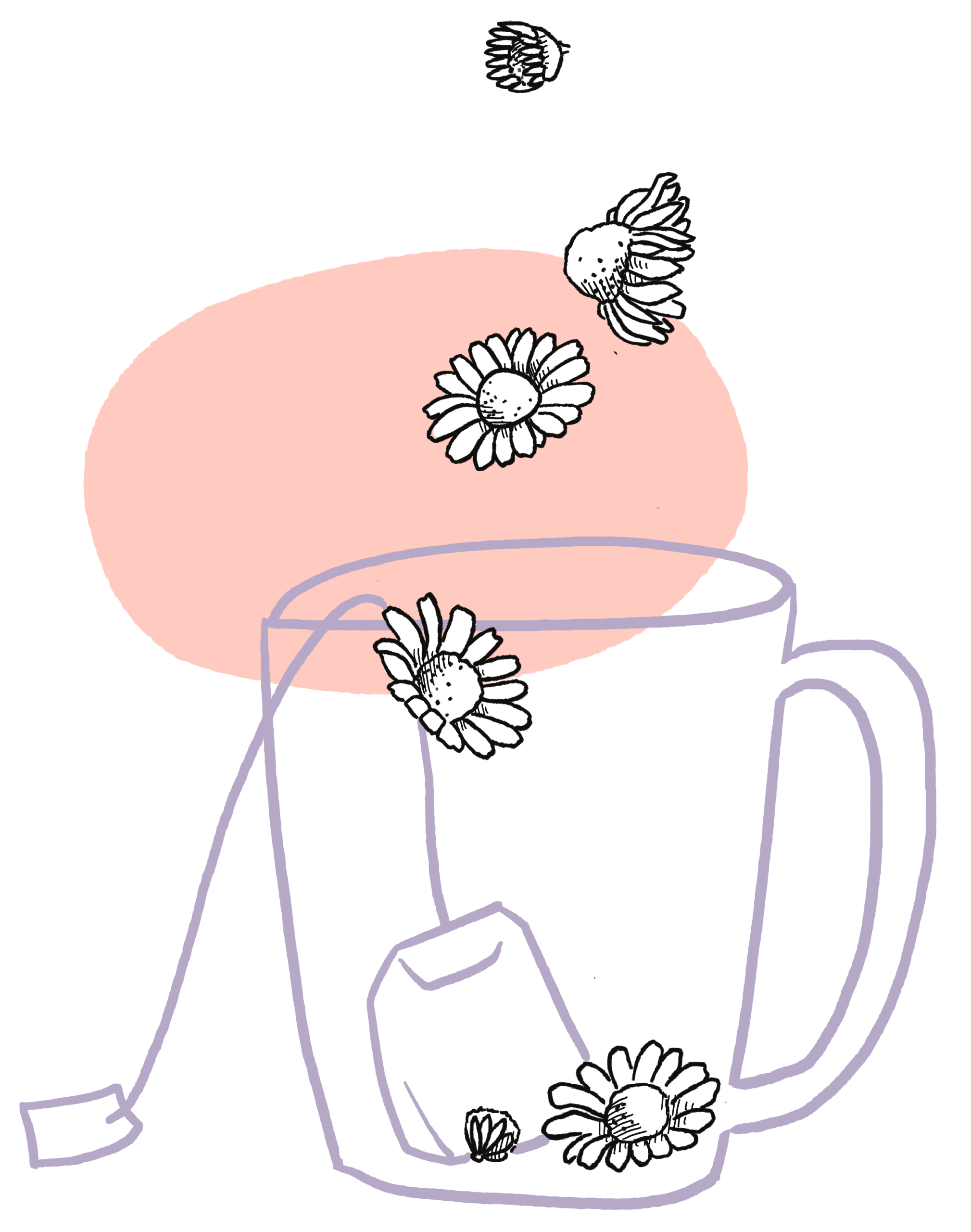 Teetasse Kamille scaled