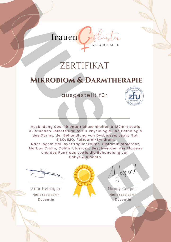 Erhalte ich ein Zertifikat nach der Aus-/ Weiterbildung? 3 1