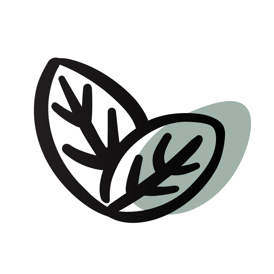 HOLI Logo Icon Mittel 03